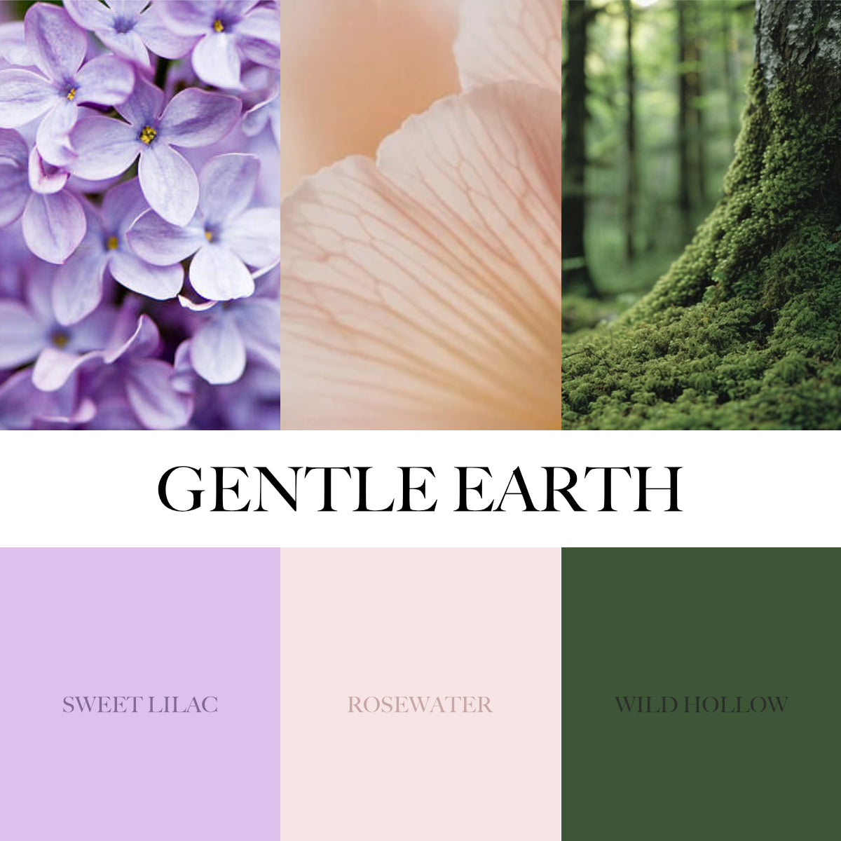 Collage of floral and natural elements with 'Gentle Earth' branding.